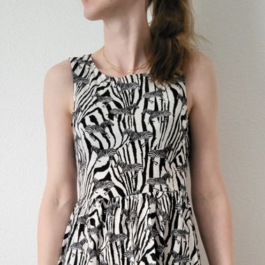 Zebrakleid