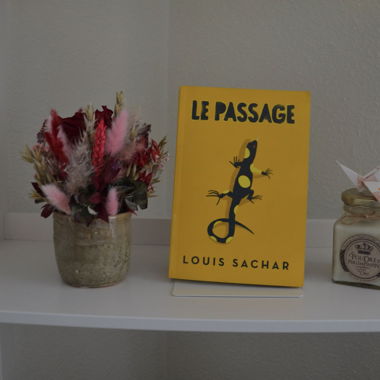 Le Passage - Louis Sachar