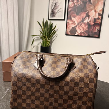 Sac Louis Vuitton Speedy 30