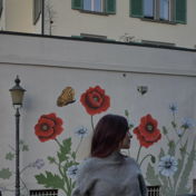 bll_rii