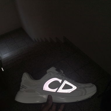 Dior b30