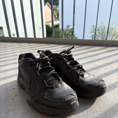 Nike Air Monarch IV