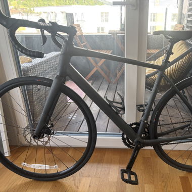 Trek Domane AL 2