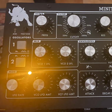 Moog Minitaur