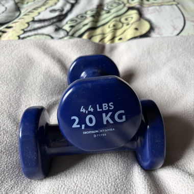 Manubri 2,0 kg