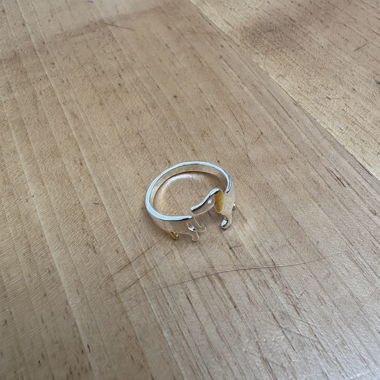 Anello bassotto (spedizione gratuita)