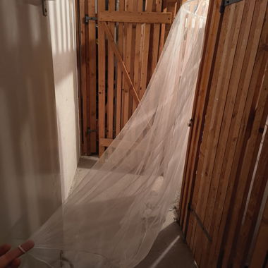 Insektennetz, Netz- Baldachin