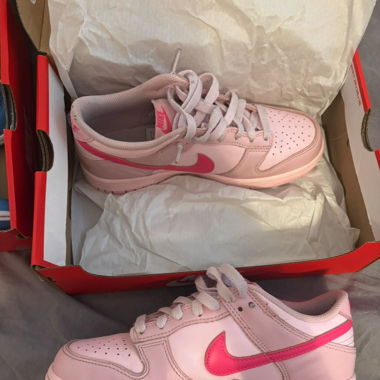 Nike Dunk Rose