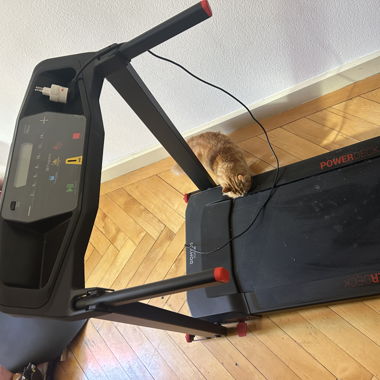 Sport