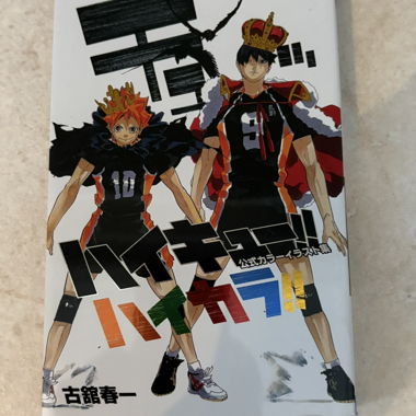 Haikyuu!! Offizielles Artbook