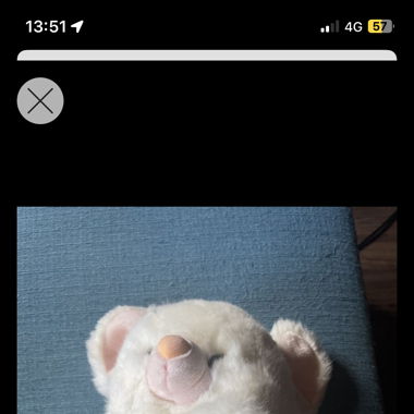 Souris en peluche