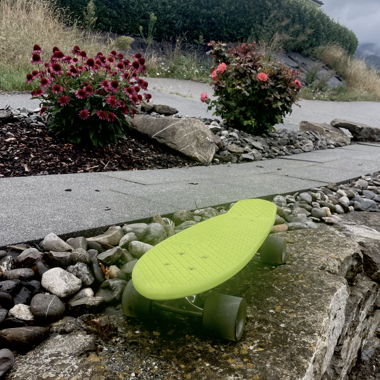 Skate Pennyboard Globe