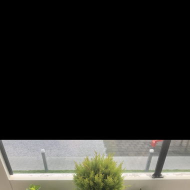 Grosser Blumentopf 