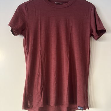 Patagonia merino t-shirt