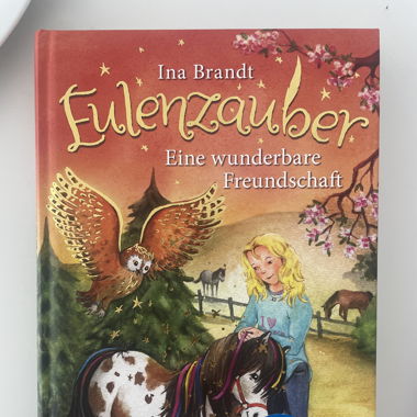 Ina Brandt Buch Set 