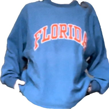 flordia sweatshirt