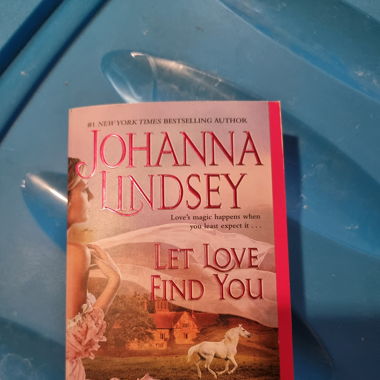 Liebesroman Let Love find you