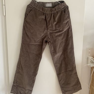 Everlane Brown Cord Pants