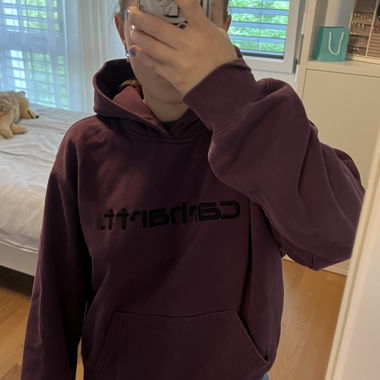 Carharrt Wip Pulli