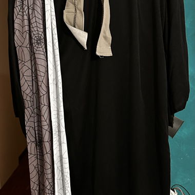 Halloween/Carnival costume