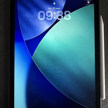 iPad Air 4 (2020) 256 GB 10,9"