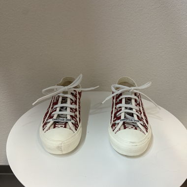 Dior Walk‘n Dior rot
