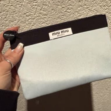 Miu Miu pouch new