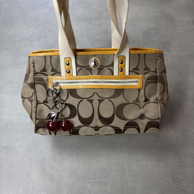 Coach Signature Tote Bag