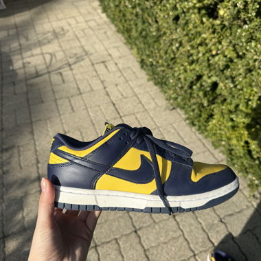 Nike Dunks jaune et bleu