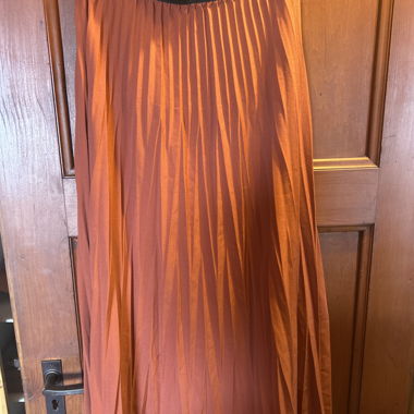 Rusty Orange Pleated Skirt