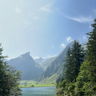 maurice_777