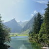 maurice_777