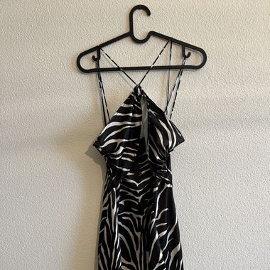Short Zebra Party Dress from Zara