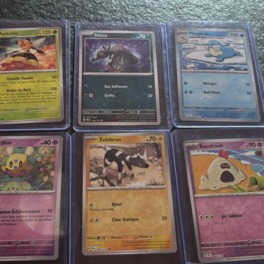 carte pokémon 