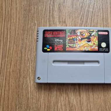 Snes Donald in Maui Mallard