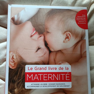 Grand livre de la maternité 