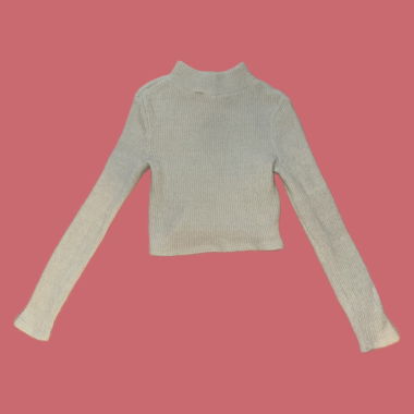 Pull col roulé court