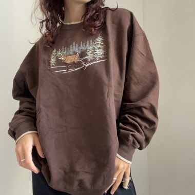 Brown sweatshirt 