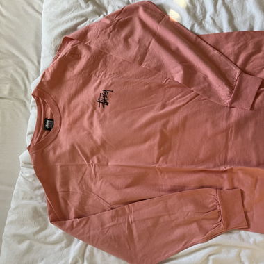 Longsleeves stussy