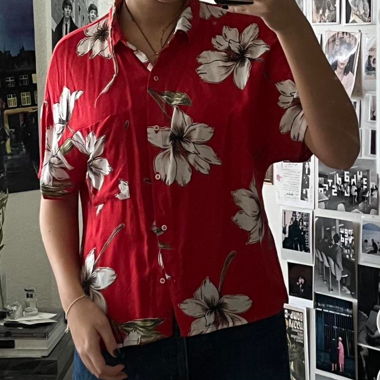 hawaii shirt