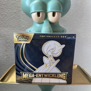 Pokemon Mega-Entwicklung TTB