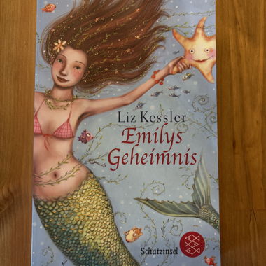 Buch: Emilys Geheimnis