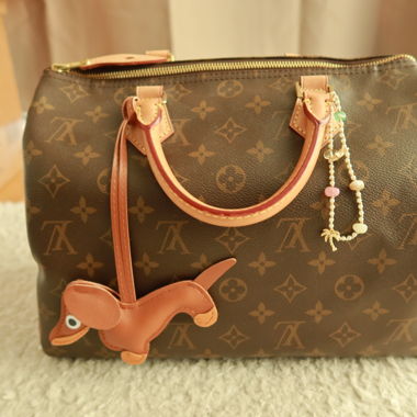 Louis Vuitton Speedy 30