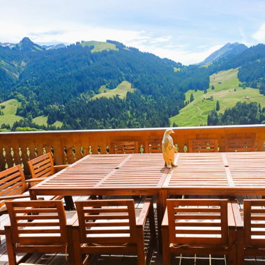 12 Outdoor Chairs with Armrests