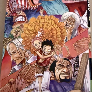 One Piece Volume 80 in French