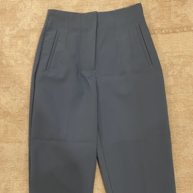 Business Hose blau