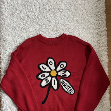 Wasted Paris Pullover