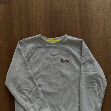 Lacoste Pulli x National Geographic 