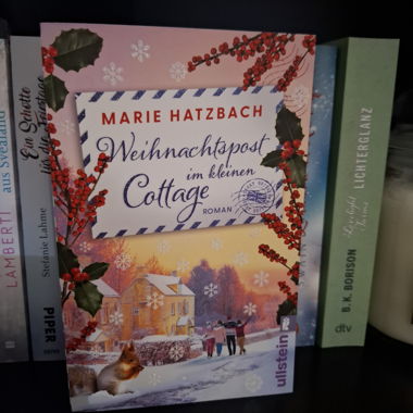 Posta di Natale nel piccolo cottage