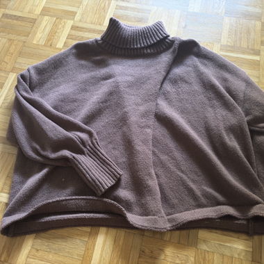 Stillender, brauner Rollkragenpullover